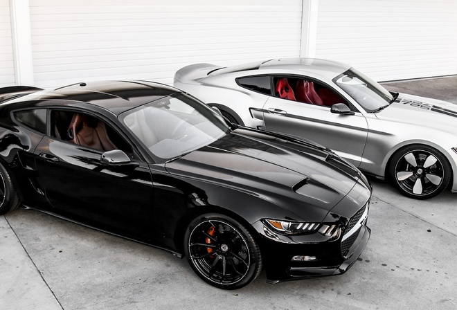 Mustang, , 