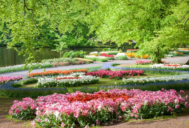 , , , , , , keukenhof, gardens, 