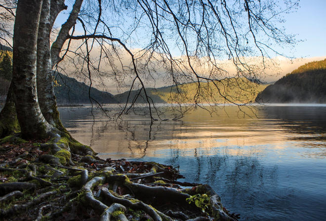 , , Olympic National Park, , , , , , 