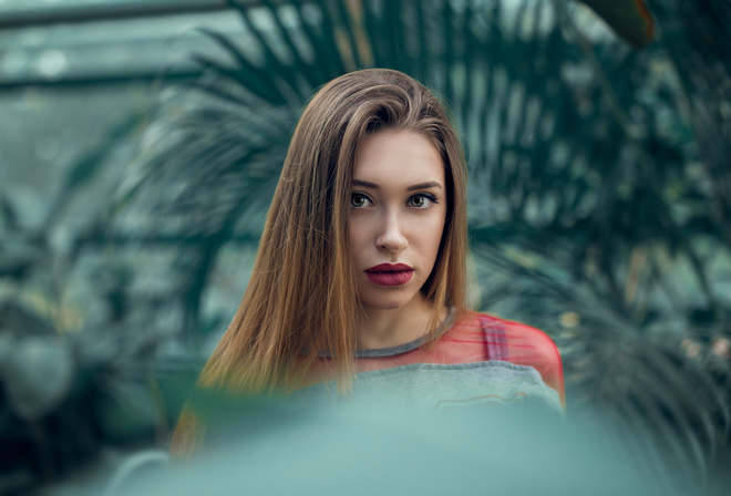 women, blonde, face, portrait, depth of field