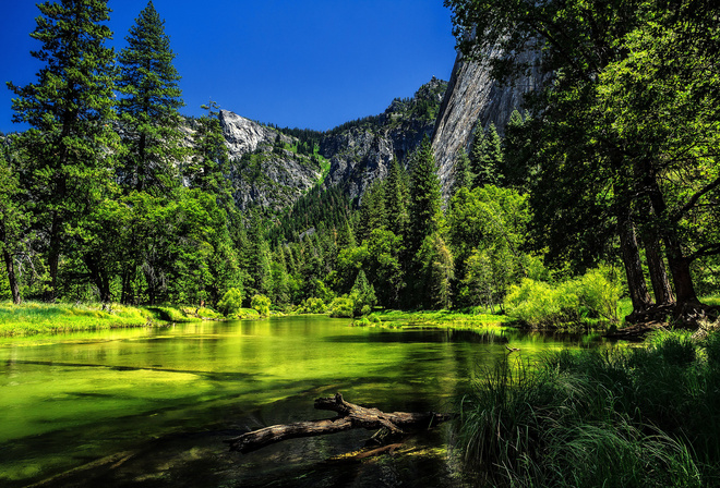 Yosemite National Park,  , , , 