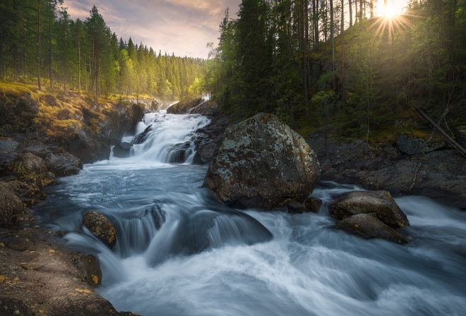 , , , Ole Henrik Skjelstad, , , , , 