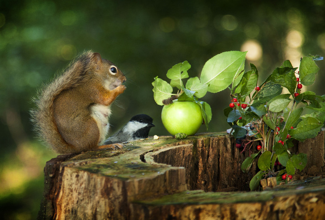 Andre Villeneuve, , , , , , , , , , 