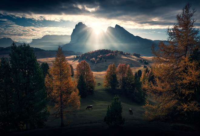 , , , Max Rive, , , 