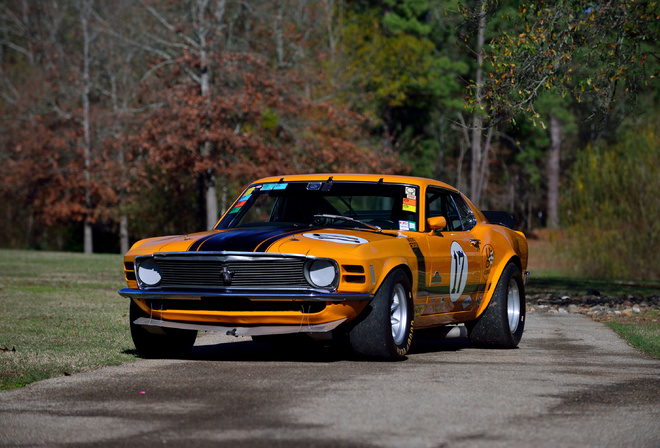 Ford, , , 1970, Mustang, Boss, 302, Race