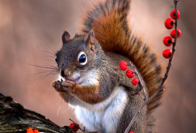 , , , ,  Andre Villeneuve