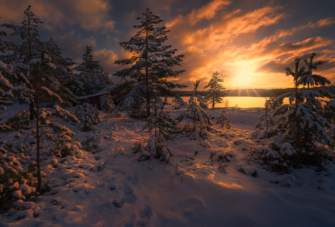 , , , , ,  Ole Henrik Skjelstad