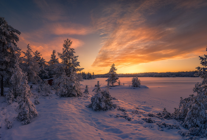 , , , , Ole Henrik Skjelstad, , , 