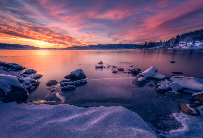 , , , , Ole Henrik Skjelstad, , 