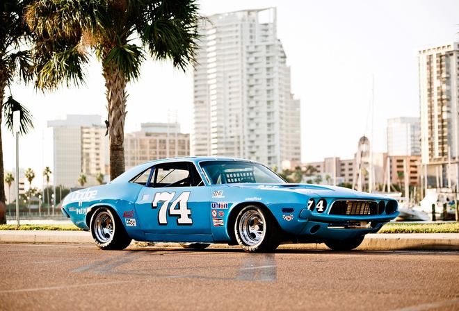 1973, dodge, challenger, Nascar