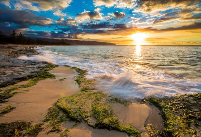 sea, USA, tropics, dawn, coast, Hawaii