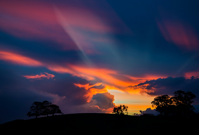 clouds, rays, the sky, silhouette, trees, sunset