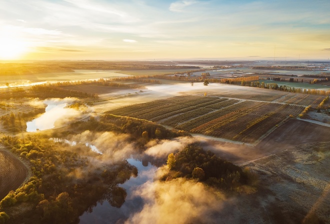 field, Lithuania, morning, fog