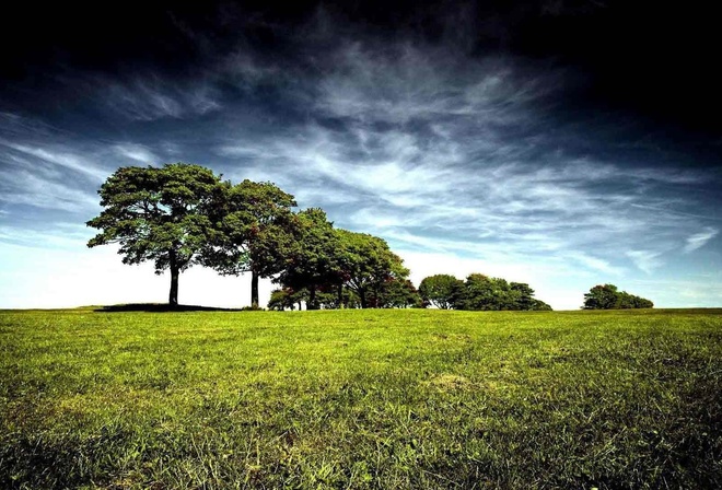 field, trees, sky, clouds, horizon