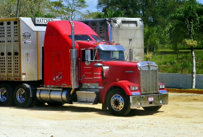 kenworth, , 