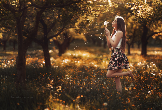 women, nature, trees, women outdoors, skirt, dandelion, long hair