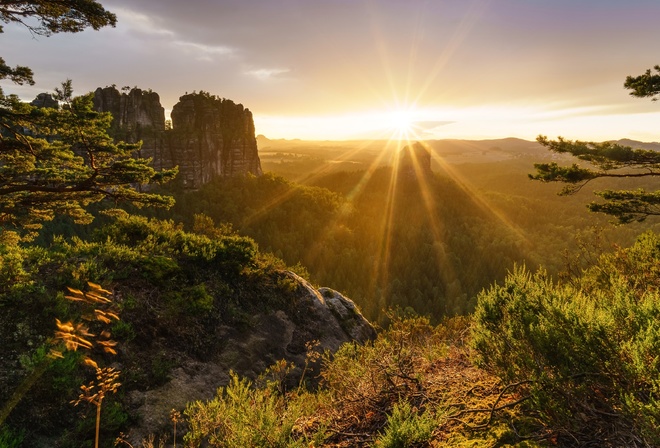 Switzerland, Alps, mountains, trees, sunrise