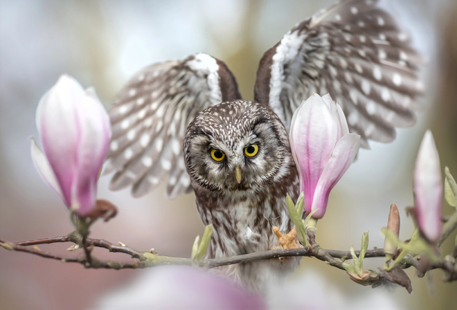  , , , , , , Tanja Brandt, , 