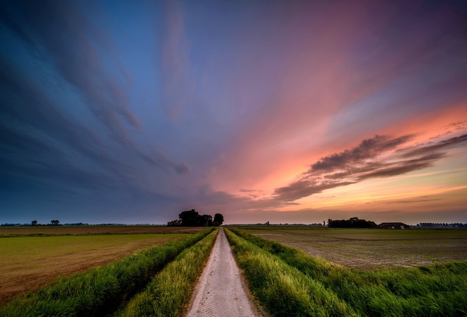 sunset, field, road