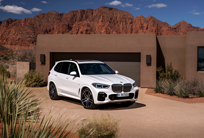 BMW, , X5 G05