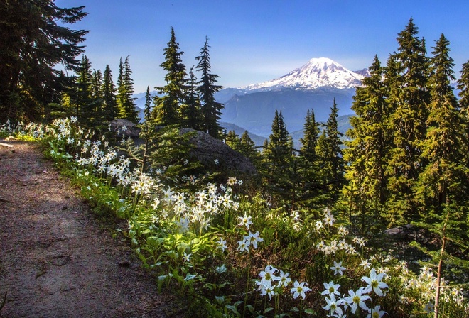 , , , , , , , -, , , , , Mount Rainier