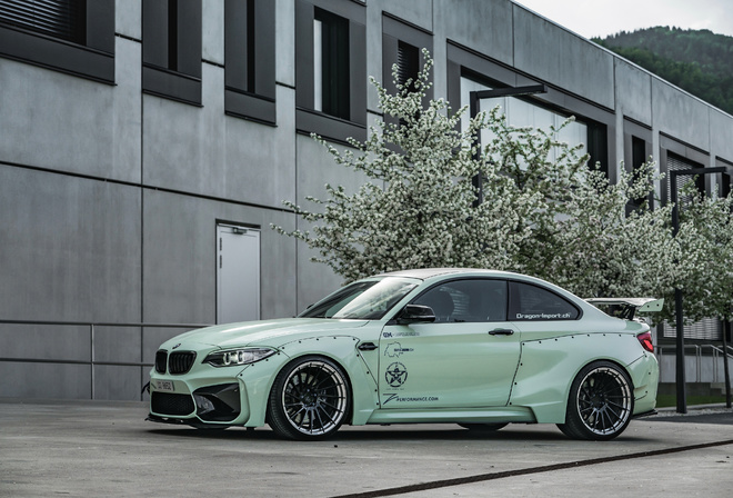 Performance, BMW, M2