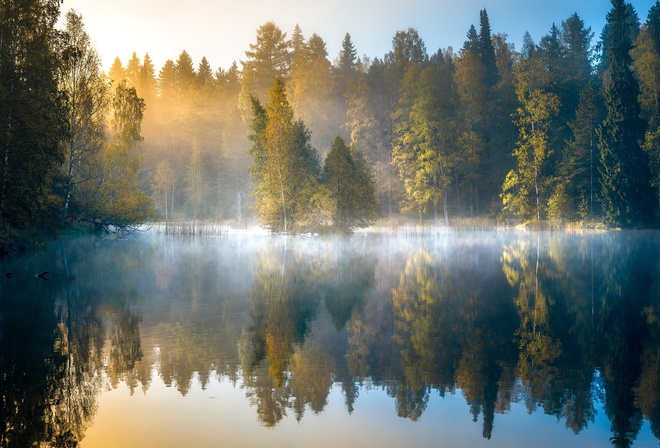 forest, autumn, dawn, Finland, lake, trees, fog, reflection, morning