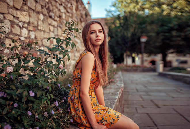 women, dress, portrait, women outdoors, depth of field, sitting, long hair, brunette