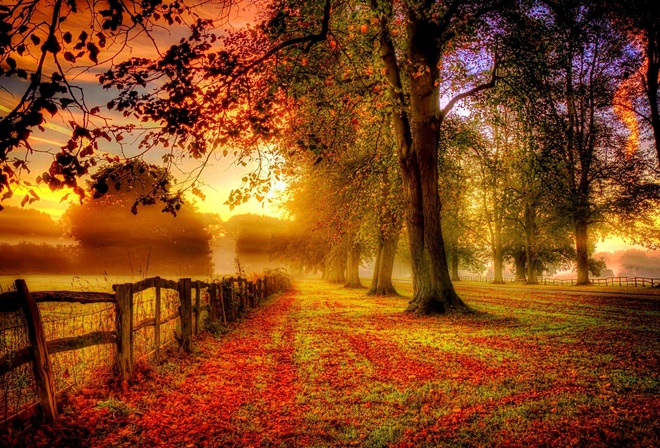 Рассвет фото природа осень
