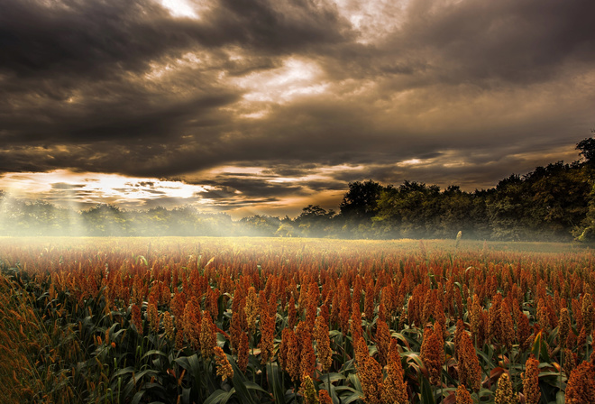 Robert Didierjean, , , , , , , 