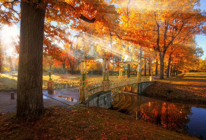 , , , , , , , , Ed Gordeev,  ,  ,  ,  