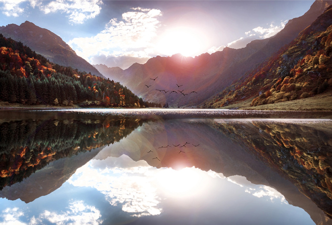 Didier Laurancy, , , , , , , , , 