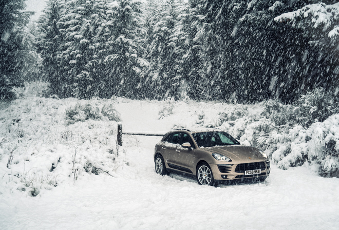 , snow, porsche, forest, , , , winter