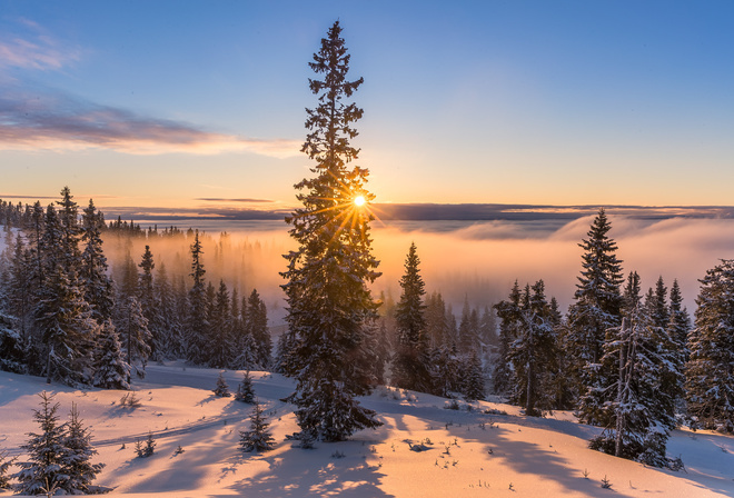 , , , , , , , , , , , , , Jorn Allan Pedersen, Allan Pedersen