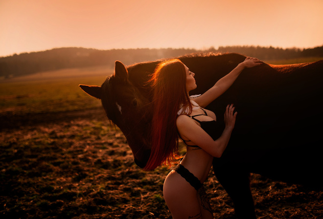 women, ass, brunette, horse, black lingerie, sunset, tattoo, long hair, animals, women outdoors, painted nails