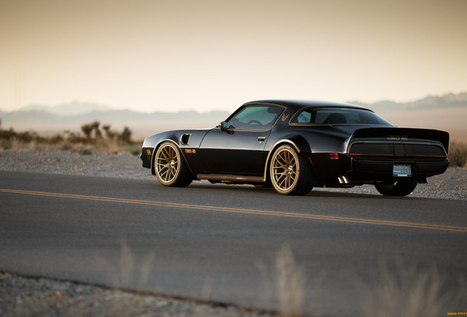 pontiac, firebird, 1969, trans am