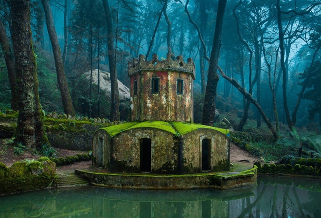 nature, Architecture, Forest, Old Building, Water