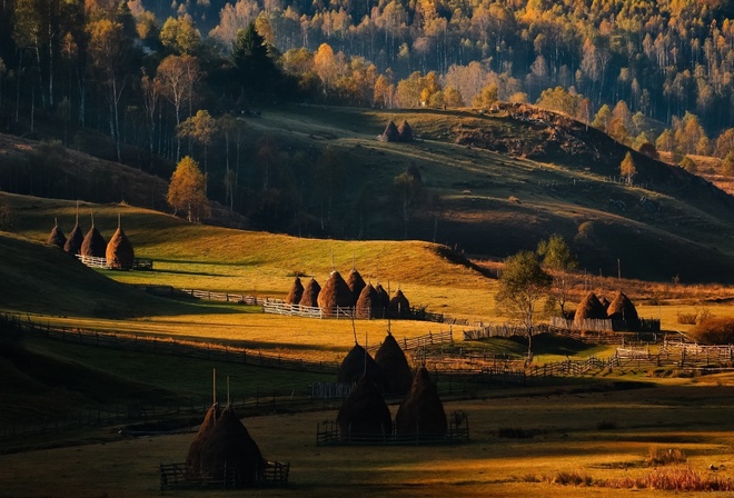 all, Sunrise, Field, Forest, Grass, R