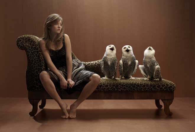 funny, Owl, Owls, Women, Brunette, Situation