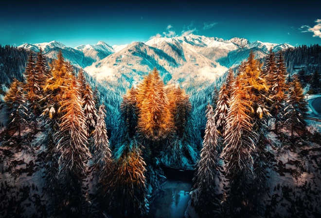 Landscape Nature Wallpapers, winter, Forest, Snow