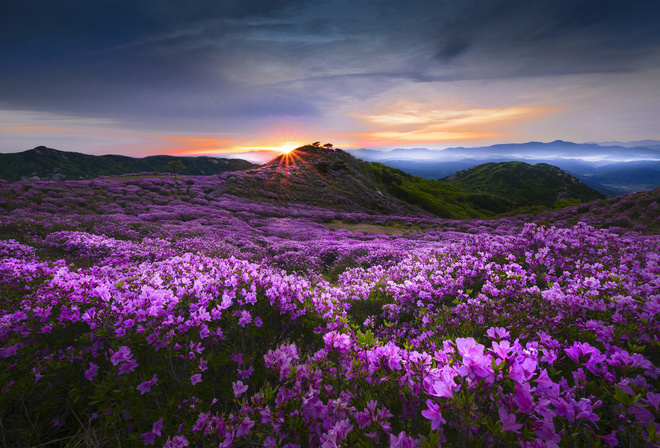 jae youn Ryu, , , , , Hwangmaesan, , , , , , , 