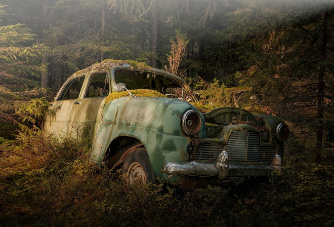 Фото машины в лесу ночью