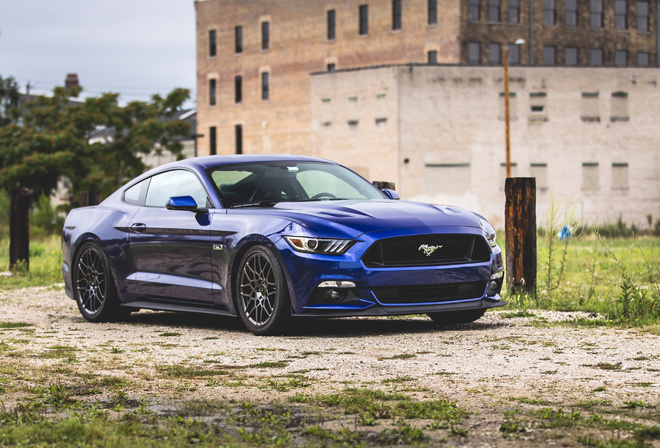 Ford, Mustang, blue sports coupe, blue