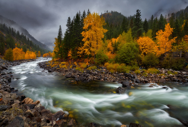 , , Doug Shearer, , , , 