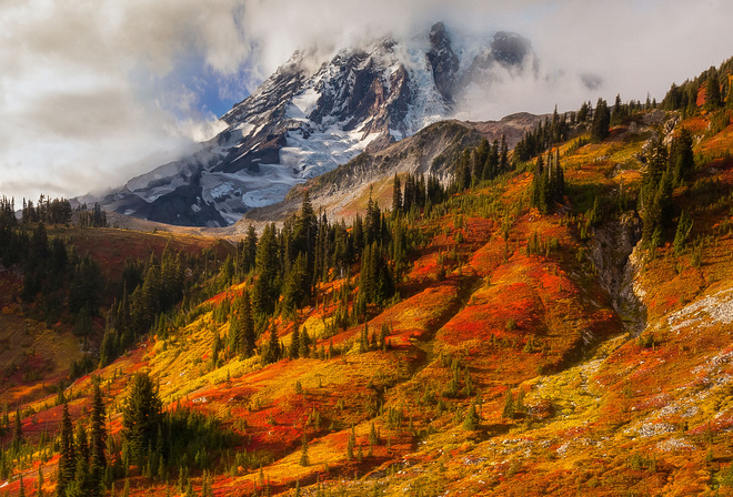 , Doug Shearer, , ,  , Mount Rainier, , 