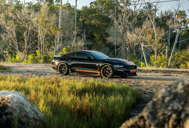 Ford Mustang, Shelby, GT-S, black, sports coupe