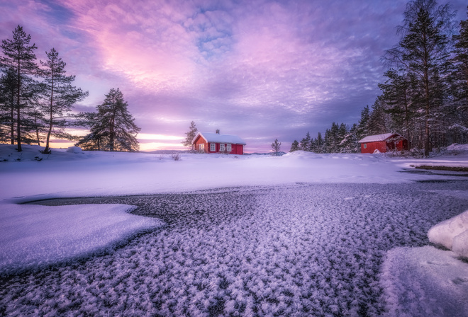 trees, house, Norway, sky