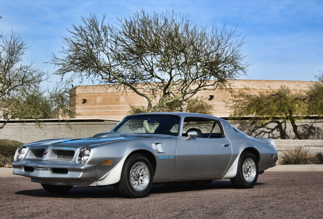 Pontiac Firebird, retro cars, 1976 cars, muscle cars, F-W87, 1976 Pontiac Firebird, american cars, Pontia