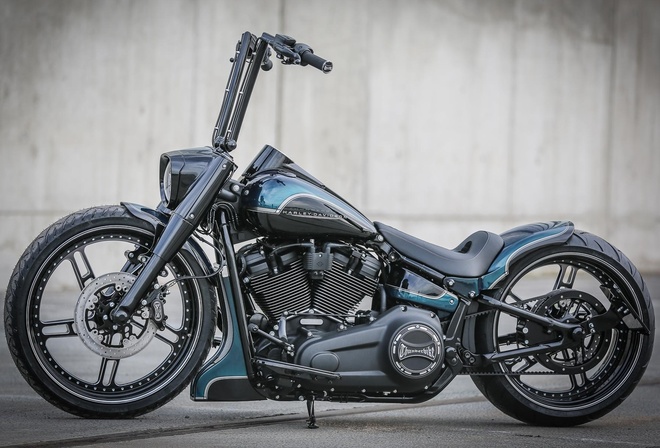 harley davidson, custom, thunderbike