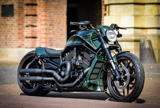 harley davidson, custom, thunderbike